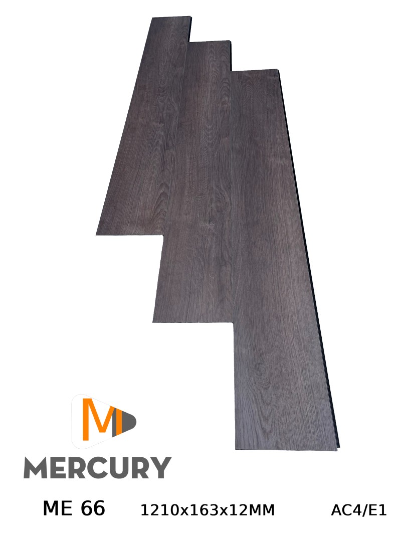 Mercury ME 66